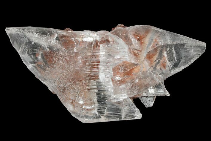 Glassy Selenite Crystal Cluster - Naica Mine, Mexico #372205